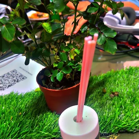 Albergue Dolce Di Monica *