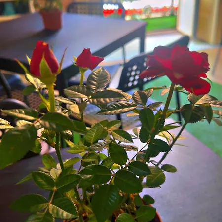 Albergue Dolce Di Monica