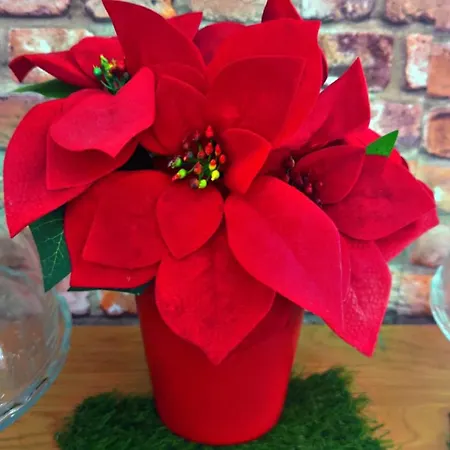 Dolce Di Monica Hostel Νάπολη